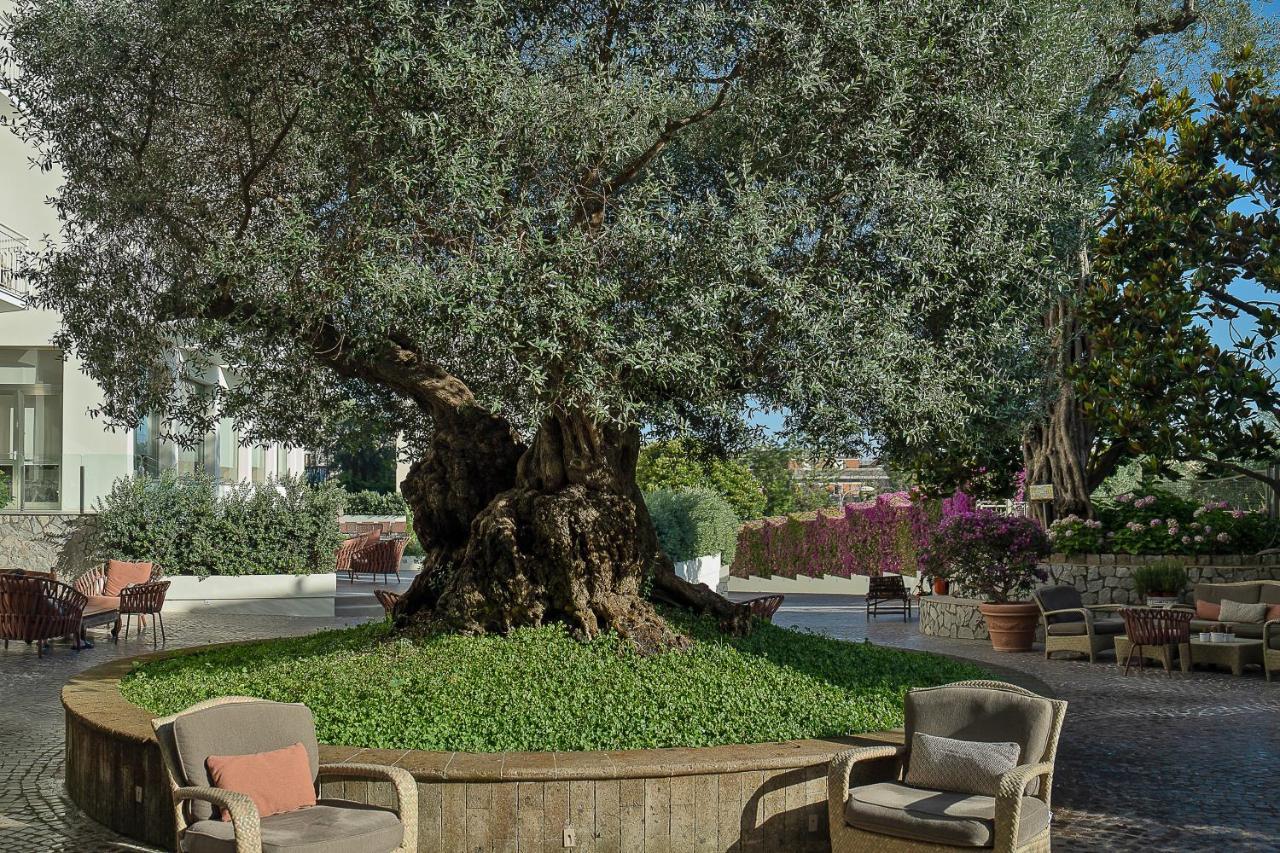 Hotel Conca Park Σορέντο Εξωτερικό φωτογραφία